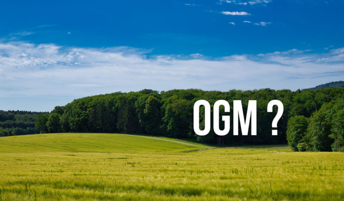 OGM - VrTH